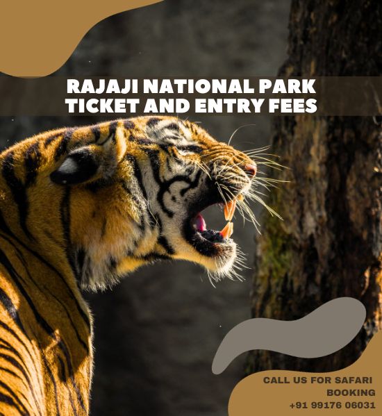 Tickets & Entries in Rajaji National Park