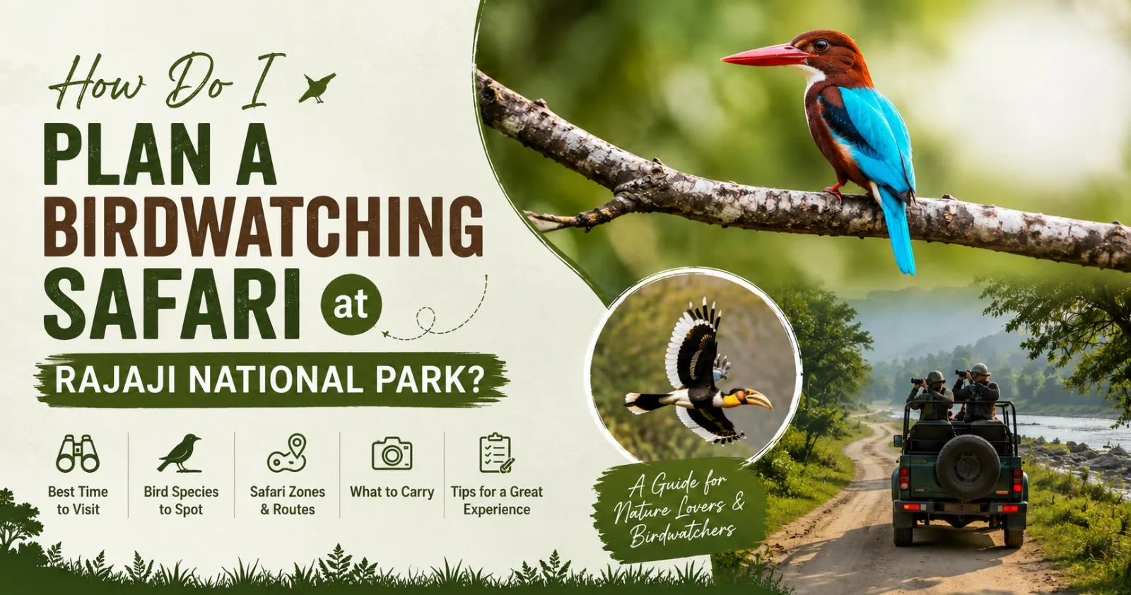 How Do I Plan a Birdwatching Safari at Rajaji National Park